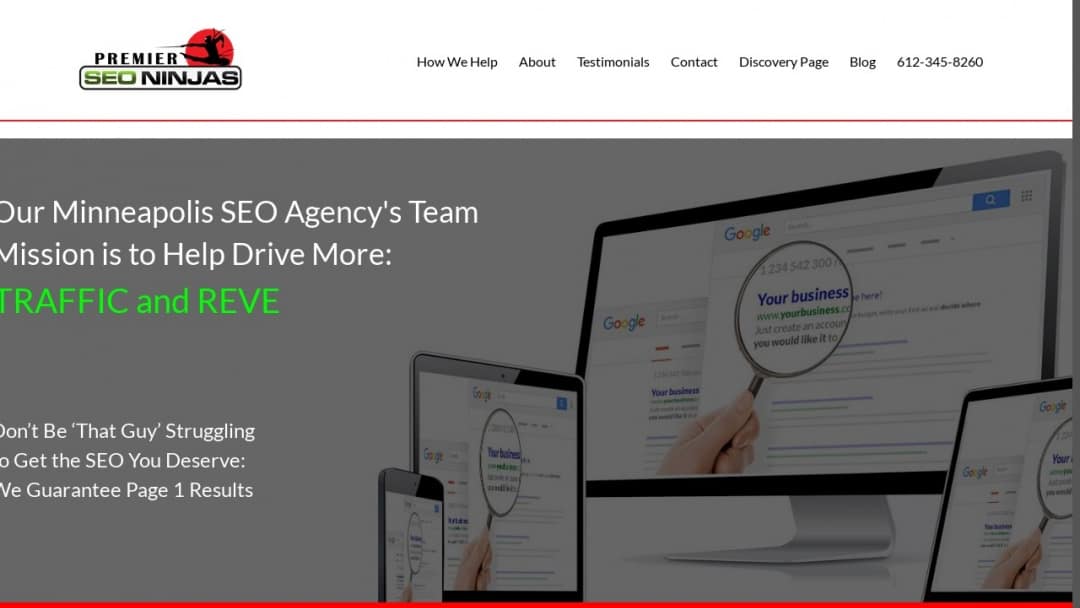 Screenshot of Premier SEO Ninjas's Website