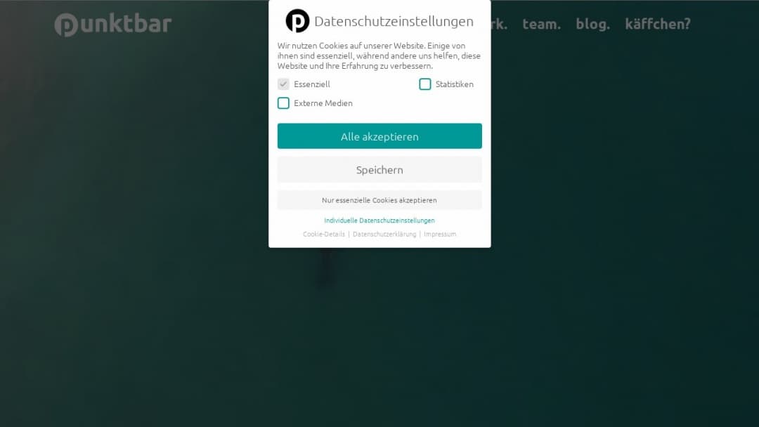 Screenshot of Punktbar's Website