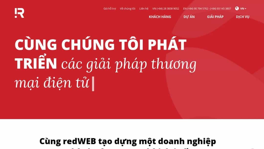 Screenshot of redWEB's Website