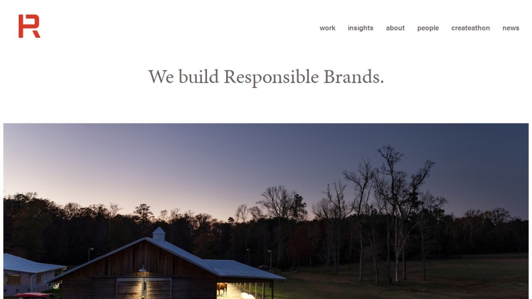 Screenshot of Riggs Partners's Website