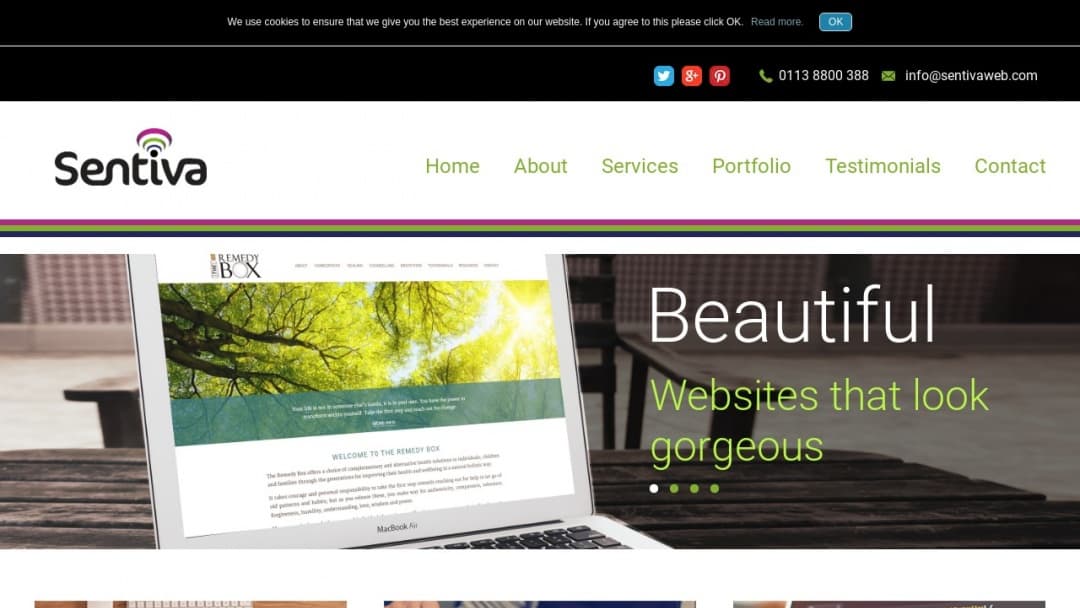 Screenshot of Sentiva Web Design's Website