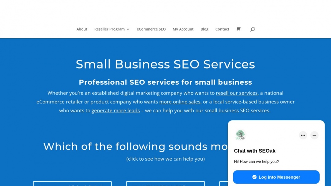 Screenshot of SEOak's Website