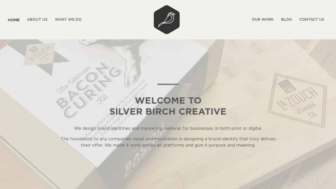 Screenshot of Silver Birch Creative's Website