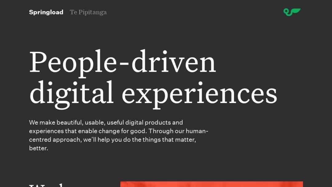 Screenshot of Springload's Website