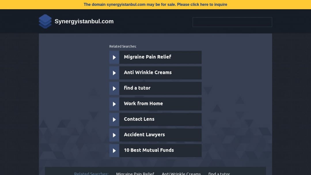 Screenshot of Synergy Istanbul's Website