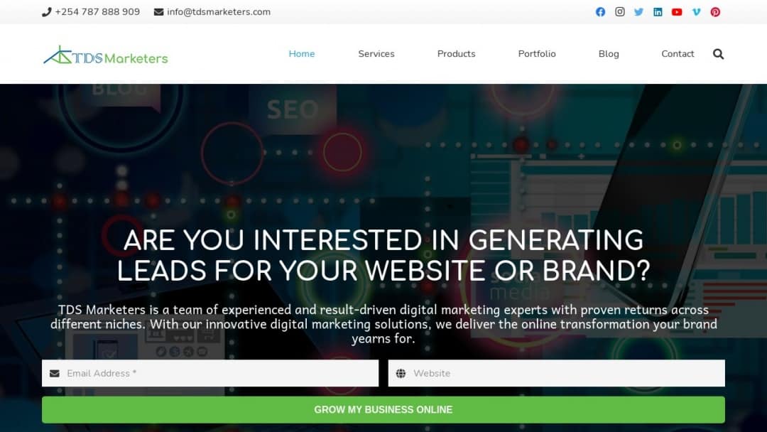 Screenshot of TDS Marketers's Website