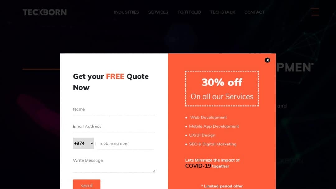 Screenshot of Teckborn Technologies Pvt Ltd's Website