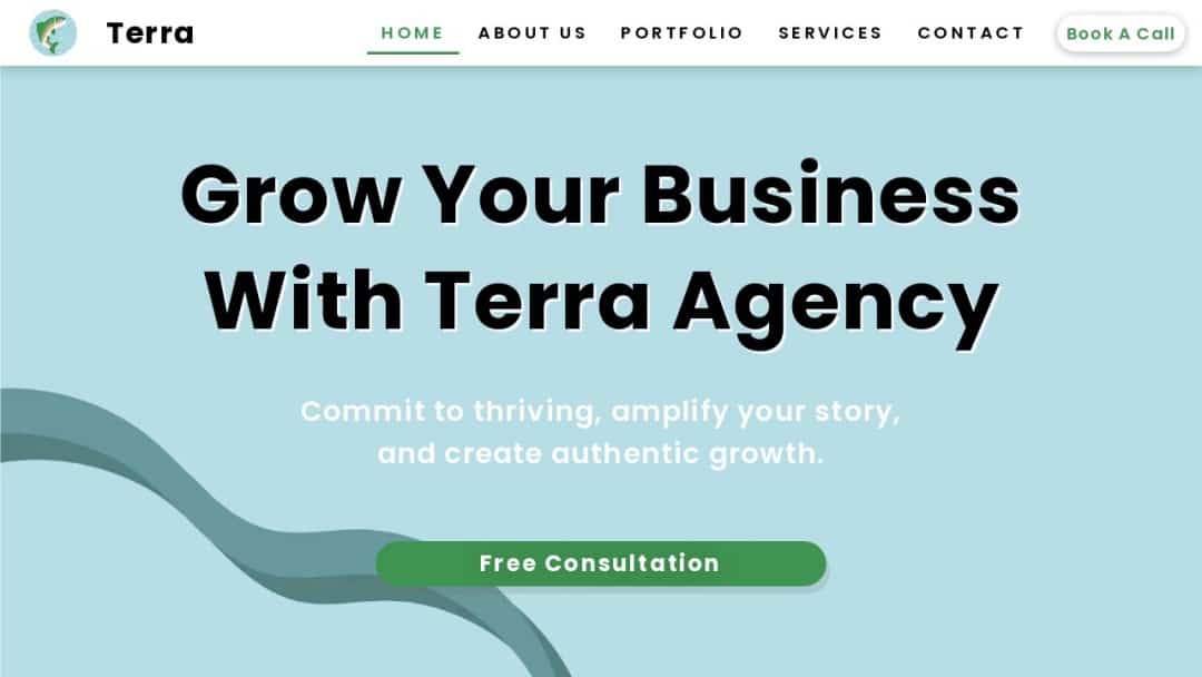 Screenshot of Terra Agency's Website