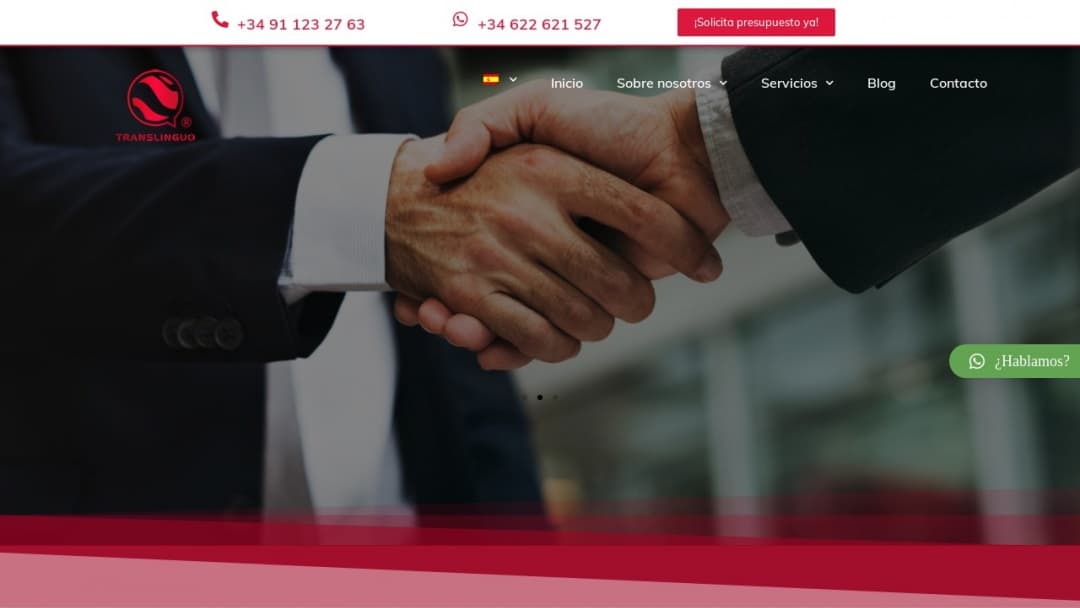 Screenshot of Translinguo Global's Website