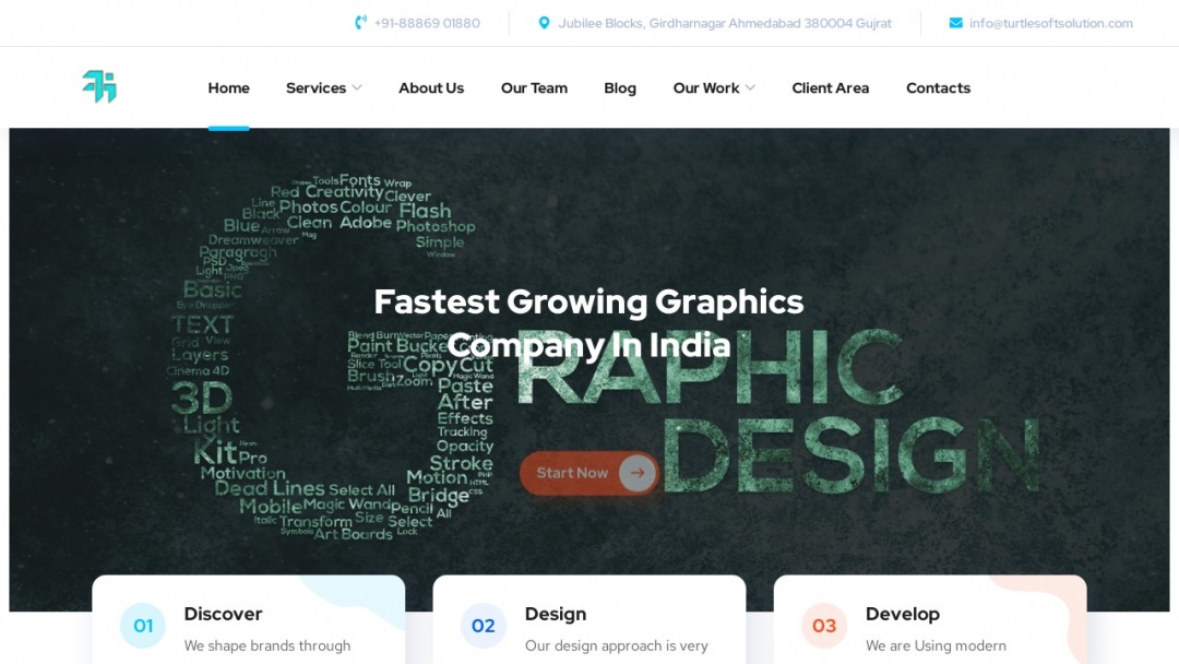 Screenshot of TurtleSoft Solution's Website