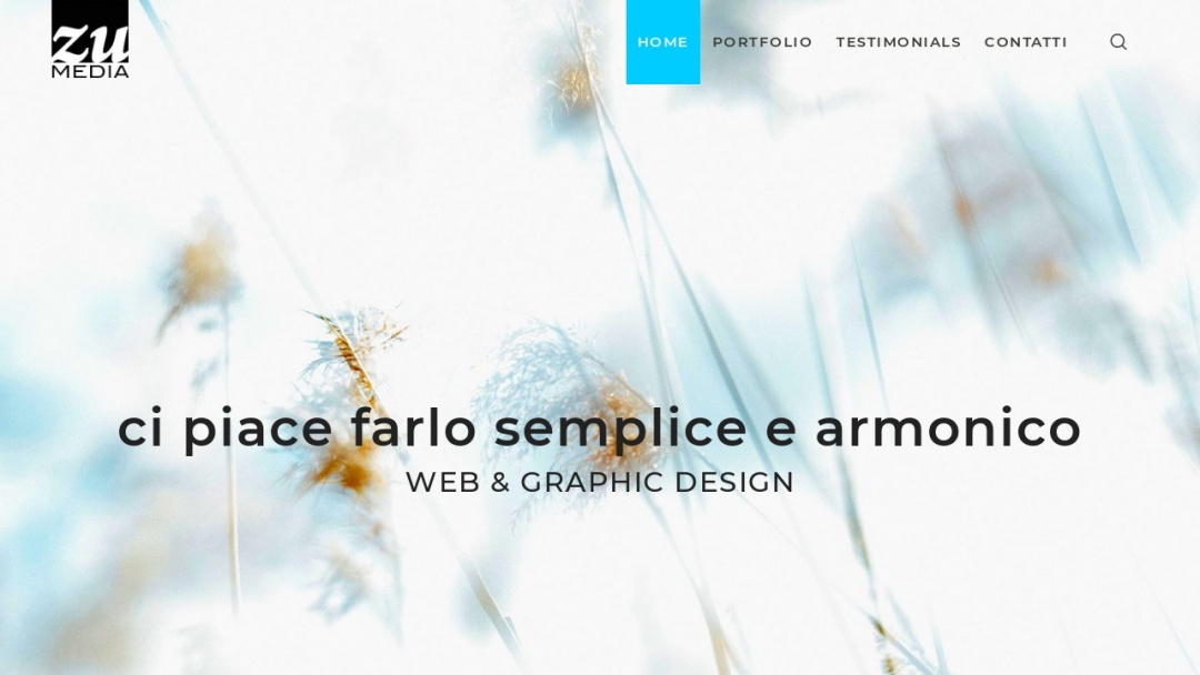 Screenshot of Zumedia Web Agency's Website