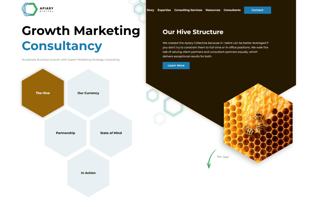 Screenshot of Apiary Digital's Website