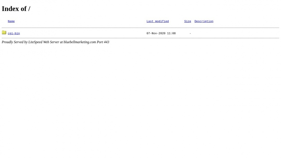 Screenshot of Blue Bell Marketing's Website