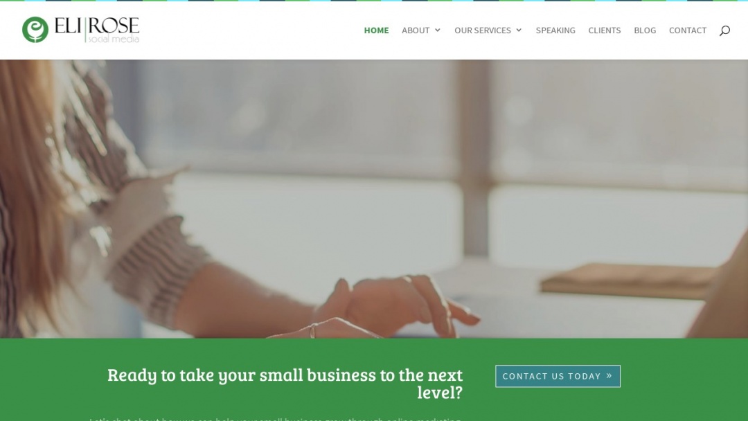 Screenshot of Eli Rose's Website