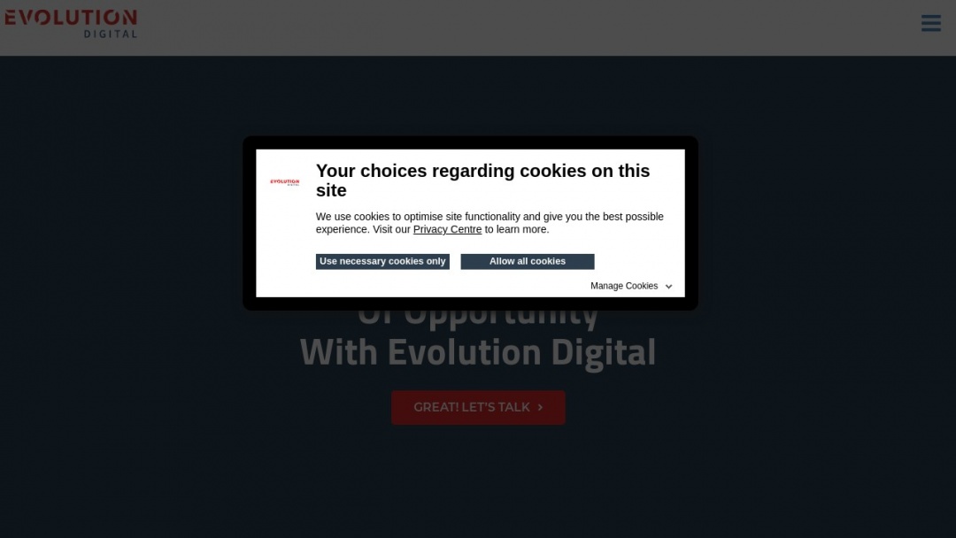 Screenshot of Evolution Digital Marketing's Website