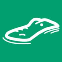 Allison's Alligator Digital Storytellers - Award Winning Agency in Temple Terrace