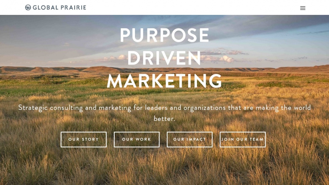Screenshot of Global Prairie's Website