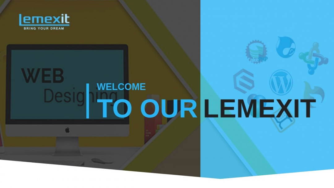 Screenshot of LemexIT's Website