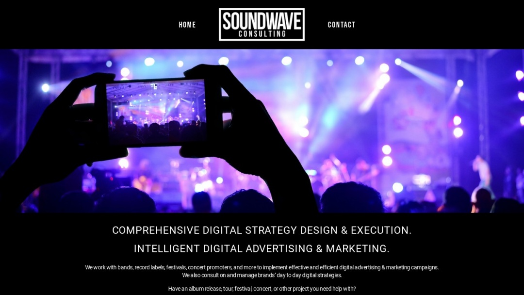 Screenshot of Soundwave Consulting's Website