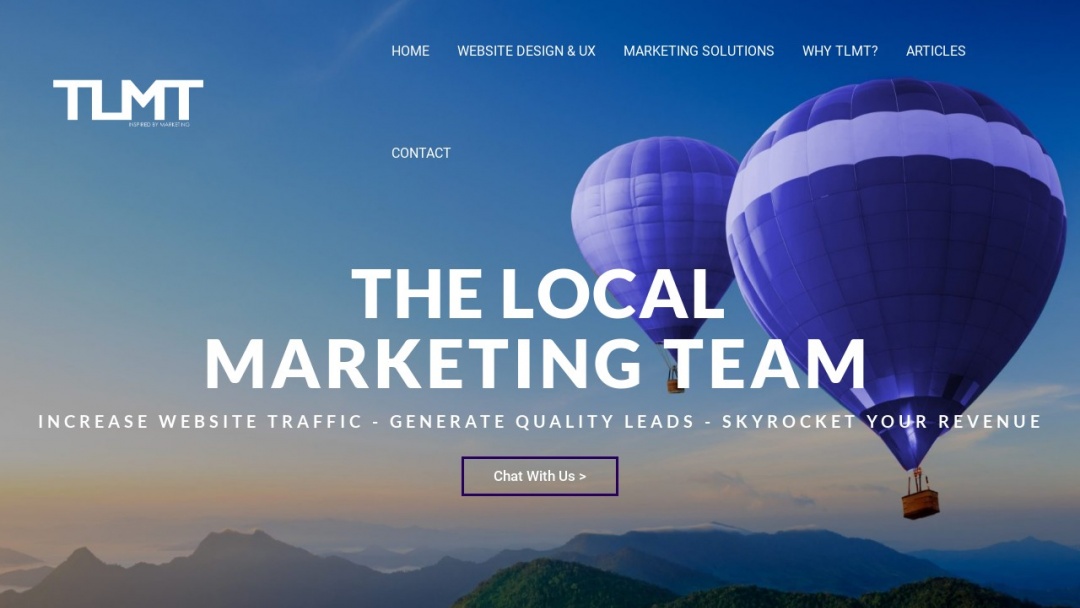 Screenshot of The Local Marketing Team's Website
