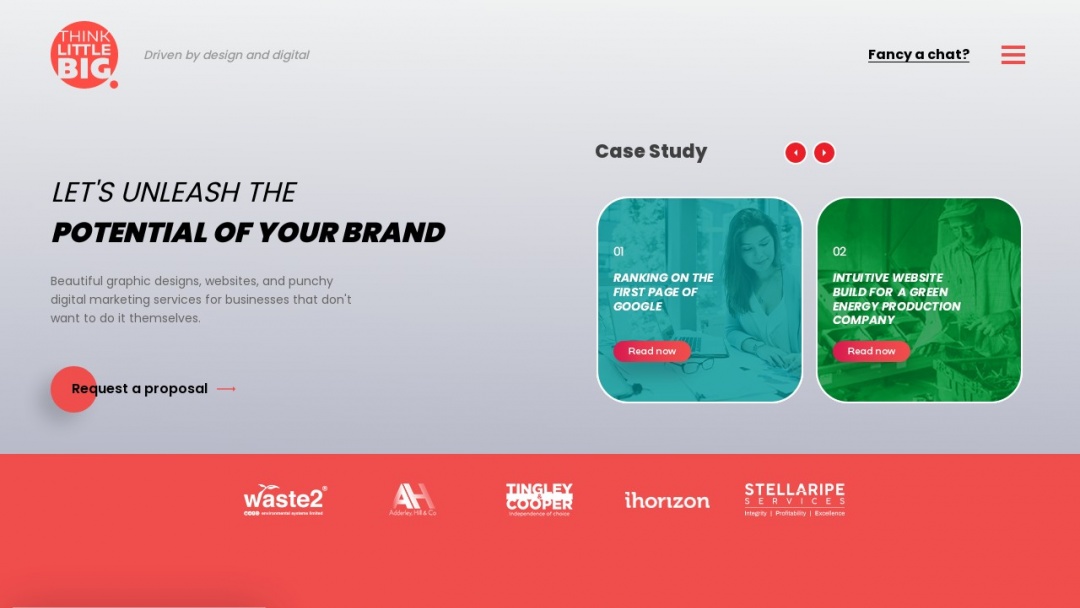 Screenshot of Think Little Big Marketing Ltd's Website