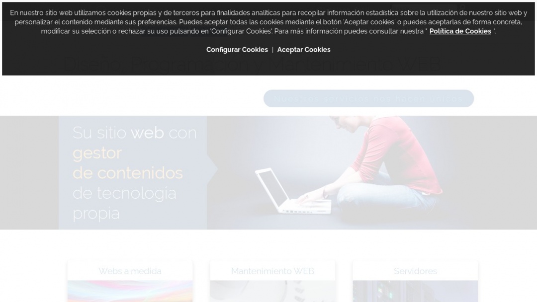 Screenshot of WEBfine's Website
