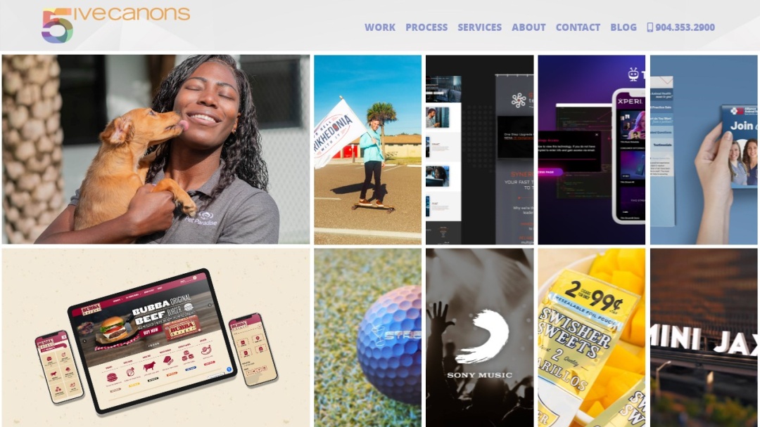 Screenshot of 5ivecanons's Website