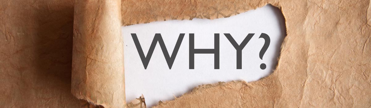 Starting a Web Design Business in 2021 - Why Do This?