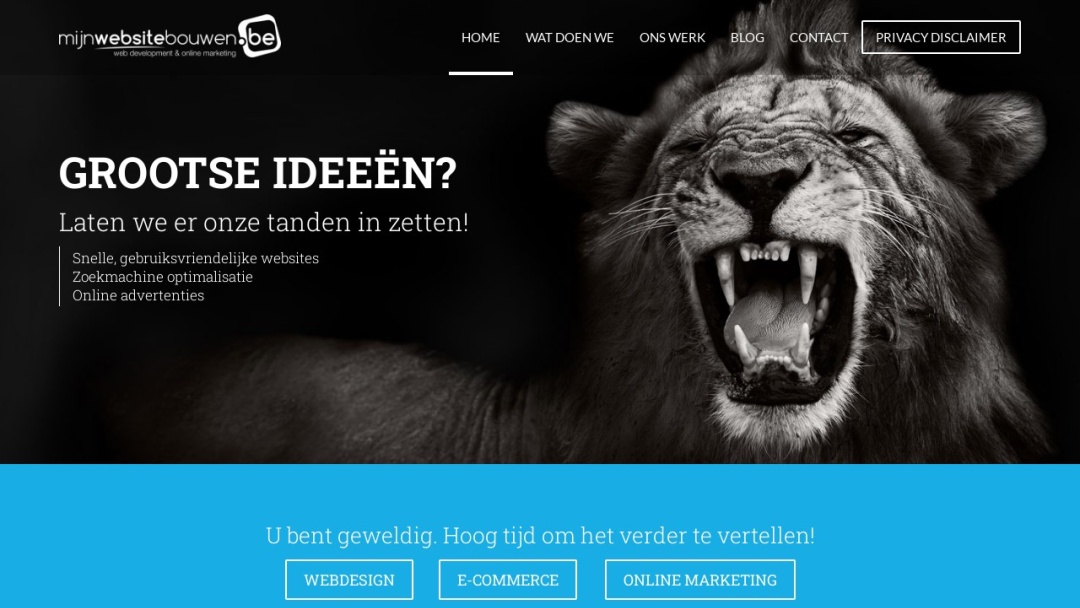 Screenshot of ABC IT & Web Solutions's Website