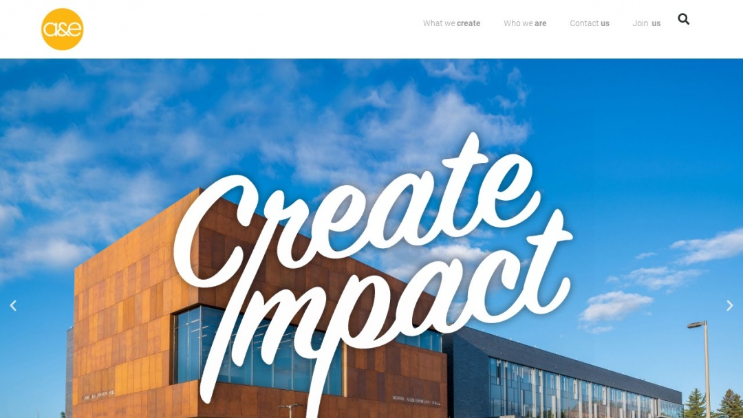 Screenshot of A&E's Website