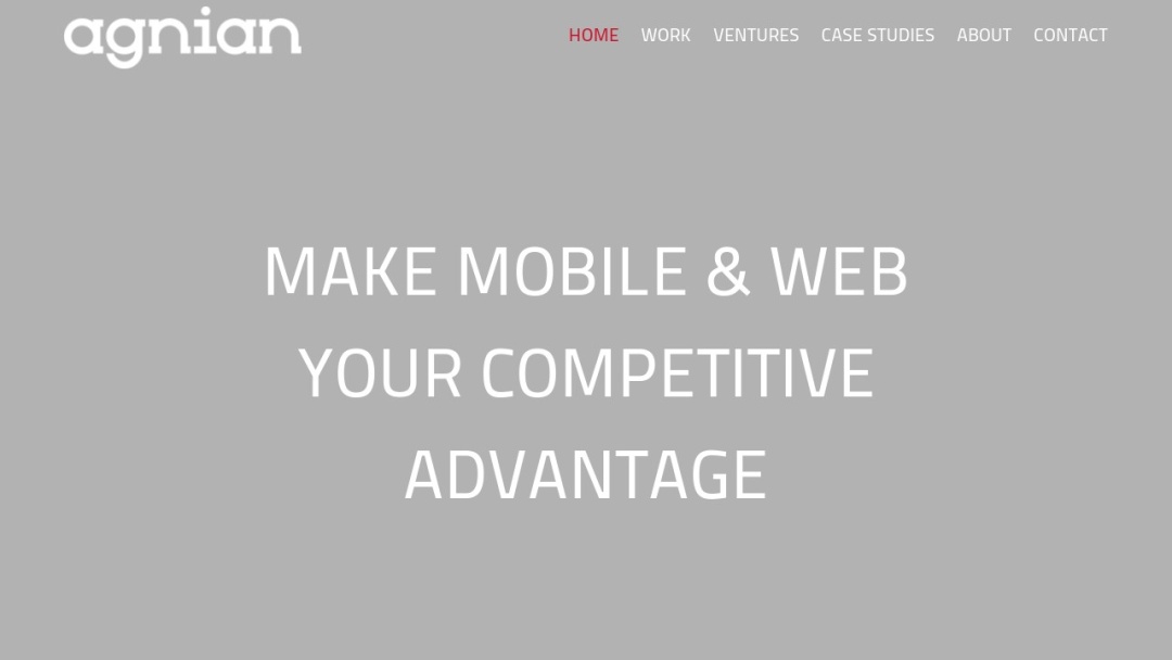 Screenshot of Agnian's Website