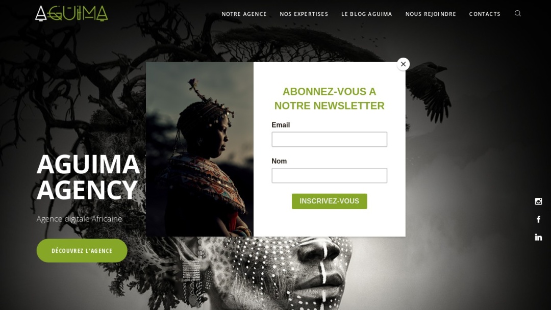 Screenshot of Aguima Web Agency's Website