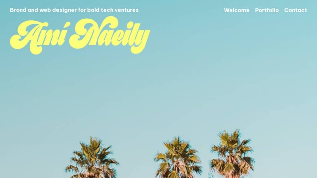 Screenshot of Amí Naeily's Website