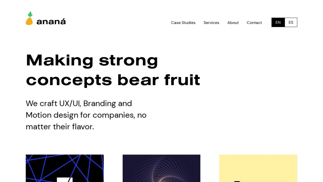 Screenshot of Ananá's Website