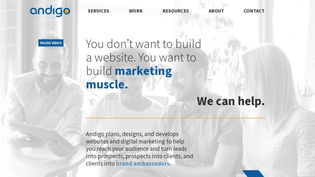 Screenshot of Andigo's Website