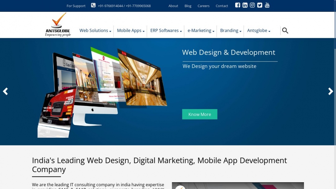 Screenshot of Antsglobe Technologies's Website