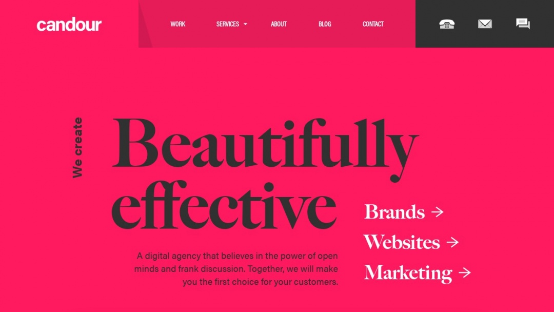 Screenshot of ApplinSkinner's Website