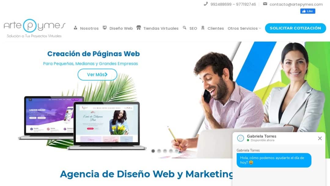 Screenshot of Artepymes's Website