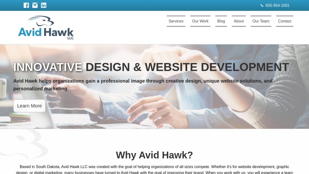 Screenshot of Avid Hawk LLC's Website