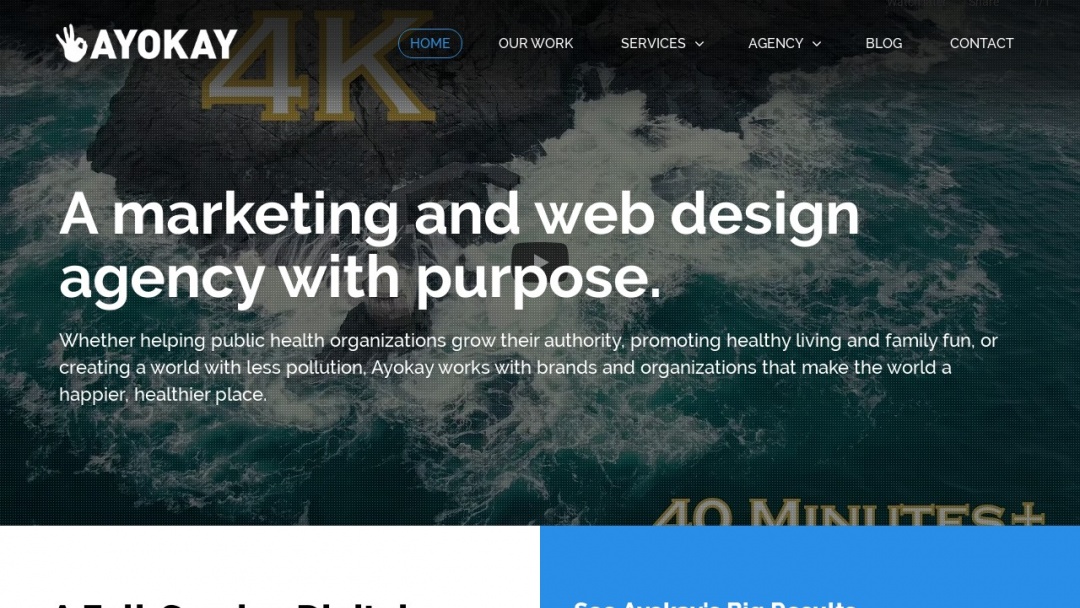 Screenshot of Ayokay's Website