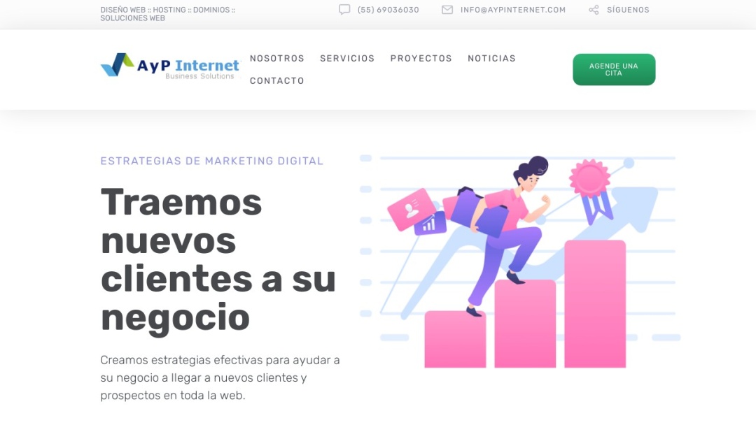 Screenshot of Aypinternet's Website