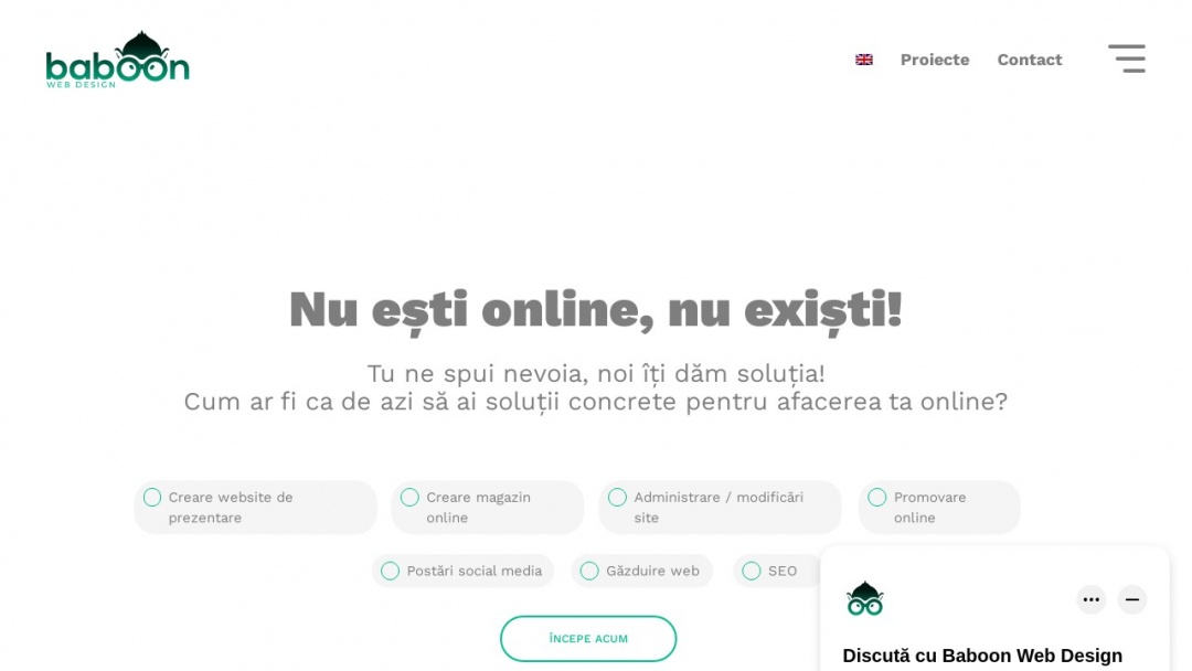 Screenshot of Baboon Web Design's Website