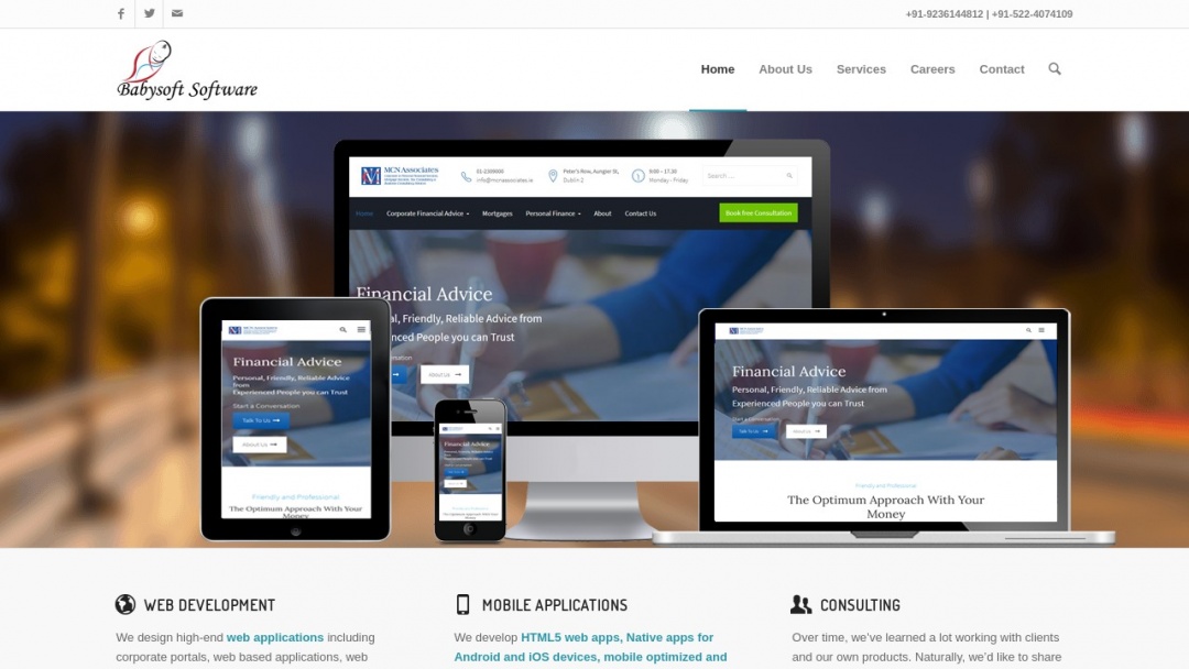 Screenshot of Babysoft Software's Website