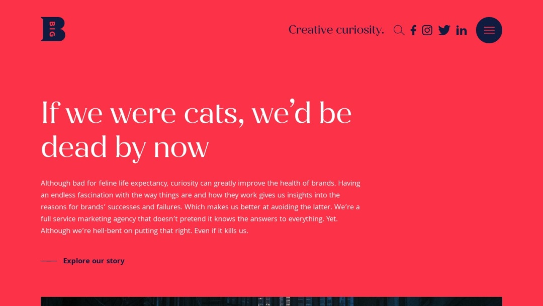 Screenshot of Big Partnership's Website