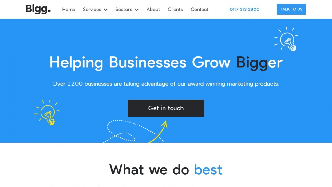 Screenshot of Bigg's Website