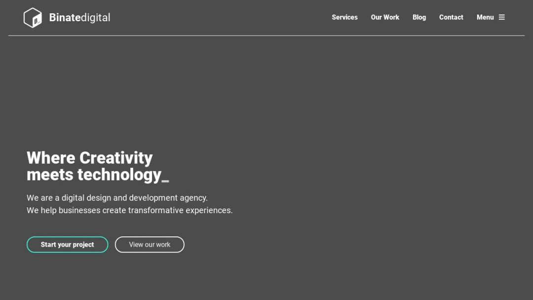 Screenshot of Binate Digital's Website