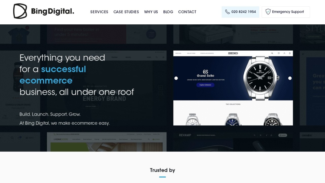 Screenshot of Bing Digital's Website