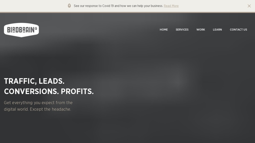 Screenshot of BirdBrain's Website