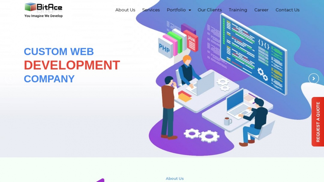 Screenshot of BitAce Technologies Pvt. Ltd.'s Website