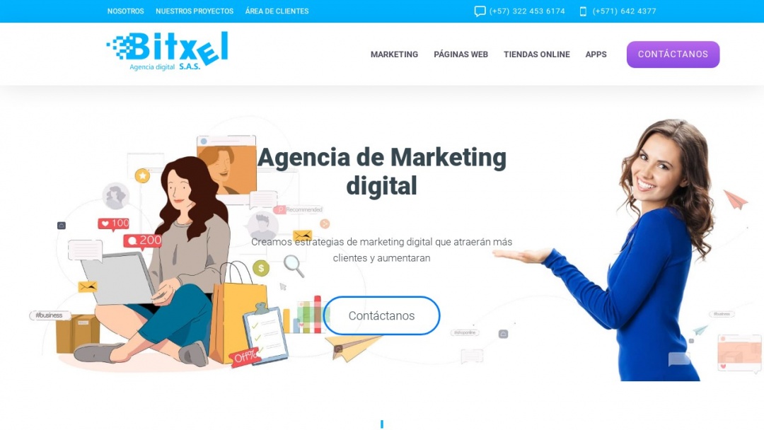 Screenshot of Bitxel's Website